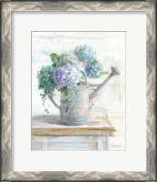 Framed Morning Hydrangeas II