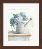 Framed Morning Hydrangeas II