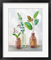 Natural Riches III Clear Vase Framed Print