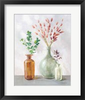 Natural Riches II Clear Vase Framed Print