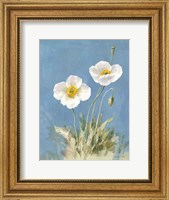 Framed White Poppies I No Butterfly