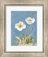 Framed White Poppies I No Butterfly