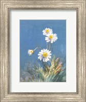 Framed White Daisies No Butterfly
