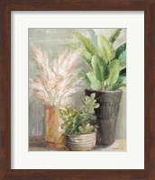 Framed 'Indoor Garden III' border=