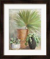 Framed 'Indoor Garden II' border=