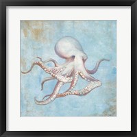 Treasures from the Sea V Watercolor Framed Print