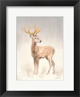 Framed Regal Wild II