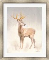 Framed Regal Wild II