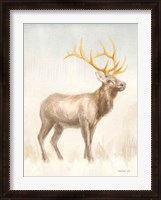 Framed Regal Wild I