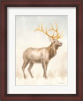 Framed Regal Wild I