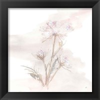 Framed 'Queen Annes Lace IV' border=