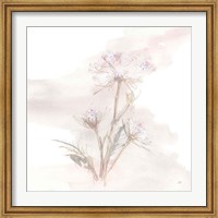 Framed Queen Annes Lace IV