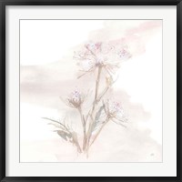 Framed Queen Annes Lace IV