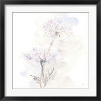 Framed 'Queen Annes Lace III' border=