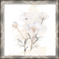 Framed 'Queen Annes Lace II' border=