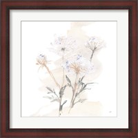 Framed 'Queen Annes Lace II' border=