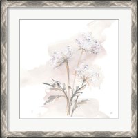 Framed Queen Annes Lace I