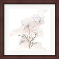 Framed 'Queen Annes Lace I' border=
