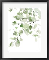 Cascading Branches I Framed Print
