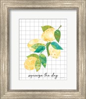 Framed Summer Lemons Sentiment II