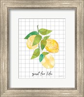 Framed Summer Lemons Sentiment I