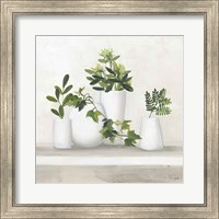 Framed Plant Life III