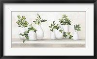 Framed Plant Life