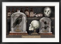 Framed Apothecary Noir V