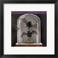 Framed 'Apothecary Noir IV' border=