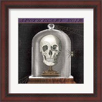 Framed 'Apothecary Noir III' border=