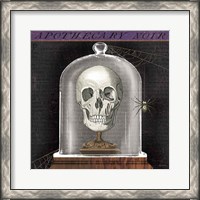 Framed Apothecary Noir III