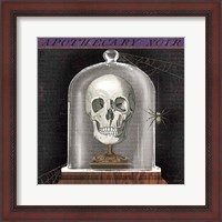 Framed Apothecary Noir III