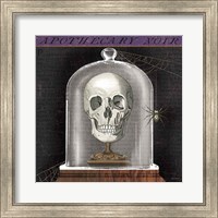 Framed Apothecary Noir III