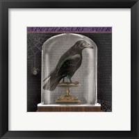 Framed 'Apothecary Noir I' border=