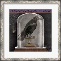 Framed Apothecary Noir I