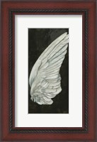 Framed Wings III