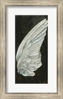 Framed Wings III