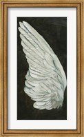 Framed Wings II