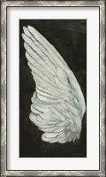 Framed Wings II