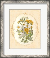 Framed 'Gentle Soul Bouquet I' border=