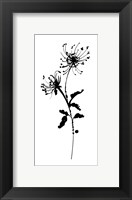 Framed Silhouette Floral IV