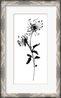 Framed Silhouette Floral IV
