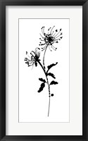 Silhouette Floral IV Framed Print