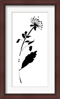 Framed Silhouette Floral III
