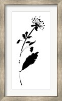 Framed Silhouette Floral III