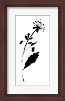 Framed Silhouette Floral III