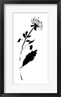 Silhouette Floral III Framed Print