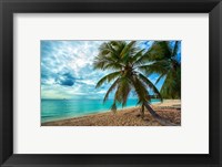 Framed Palm Tree Dreams