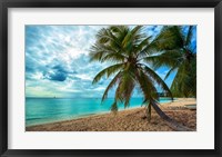 Framed Palm Tree Dreams