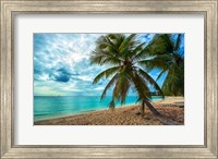 Framed Palm Tree Dreams